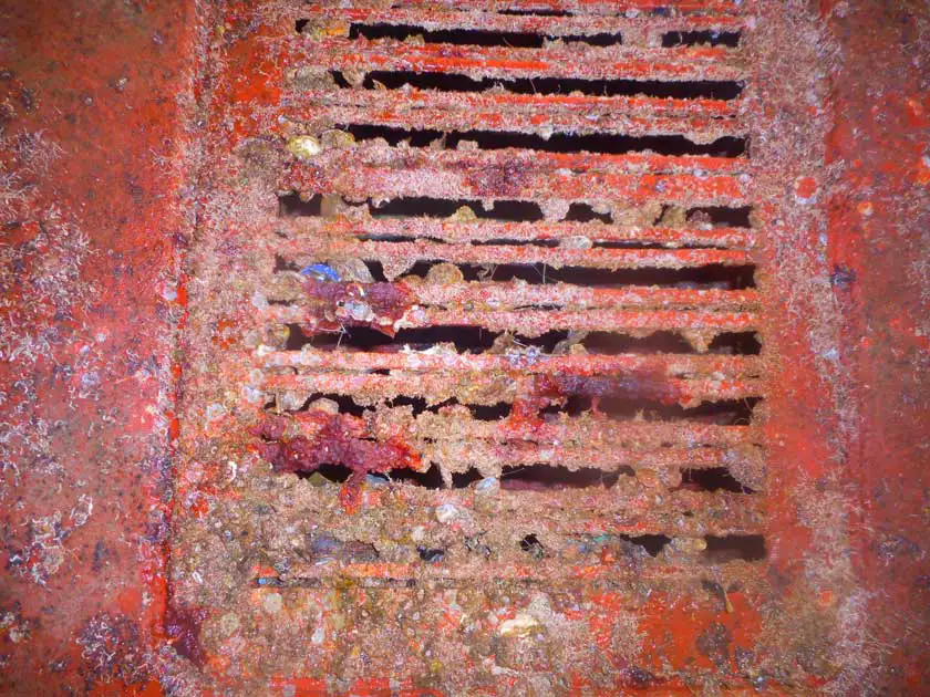 Συντήρηση και χρωματισμός πλοίου Ionis ventouris anastasios 1